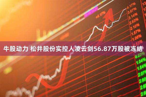 牛股动力 松井股份实控人凌云剑56.87万股被冻结