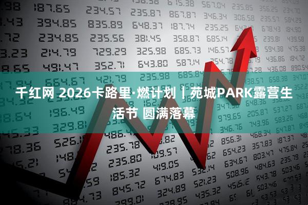 千红网 2026卡路里·燃计划｜苑城PARK露营生活节 圆满落幕