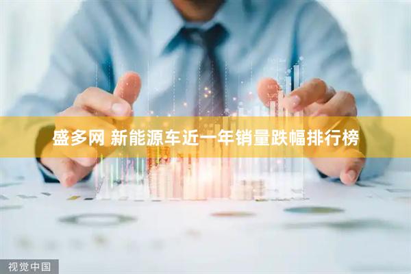 盛多网 新能源车近一年销量跌幅排行榜